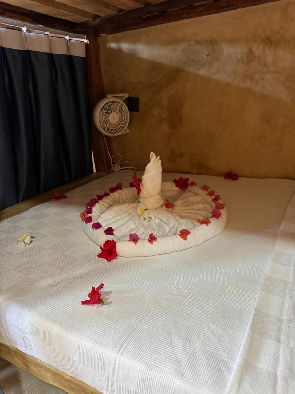 Compass Auberge de jeunesse *