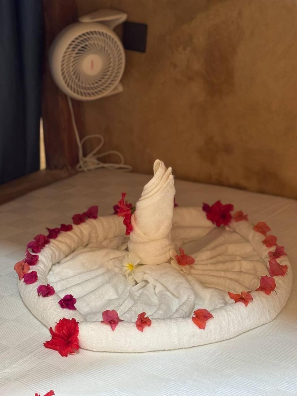 Auberge de jeunesse Compass *